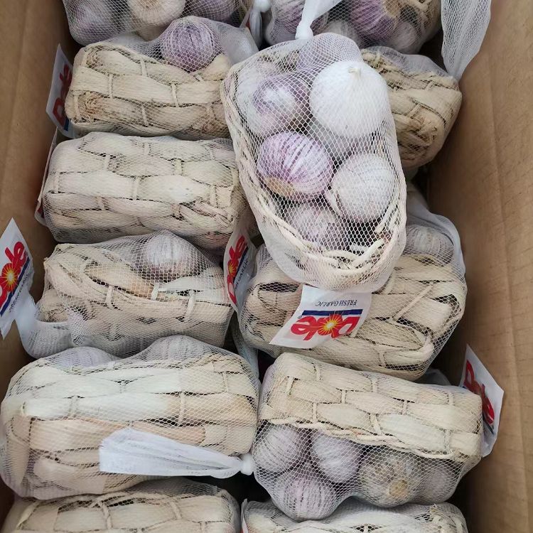 Bulbes d'ail solo